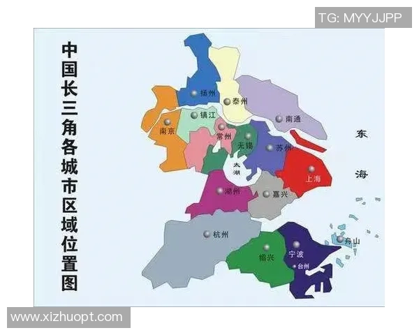 杭州羽毛球队转型升级之路：探索新策略与未来发展方向