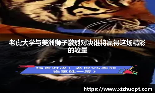 im电竞平台