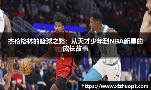 im电竞官网
