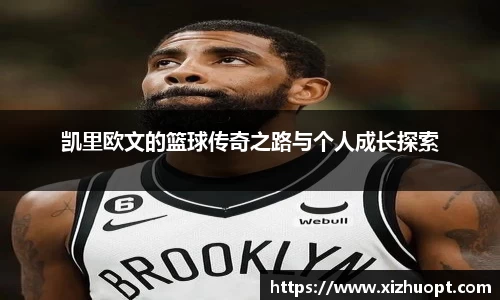 im电竞官网