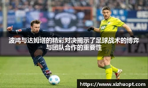 im电竞官网