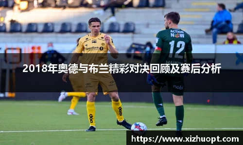 im电竞官网