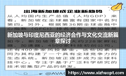 新加坡与印度尼西亚的经济合作与文化交流新篇章探讨