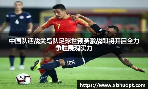 im电竞官网
